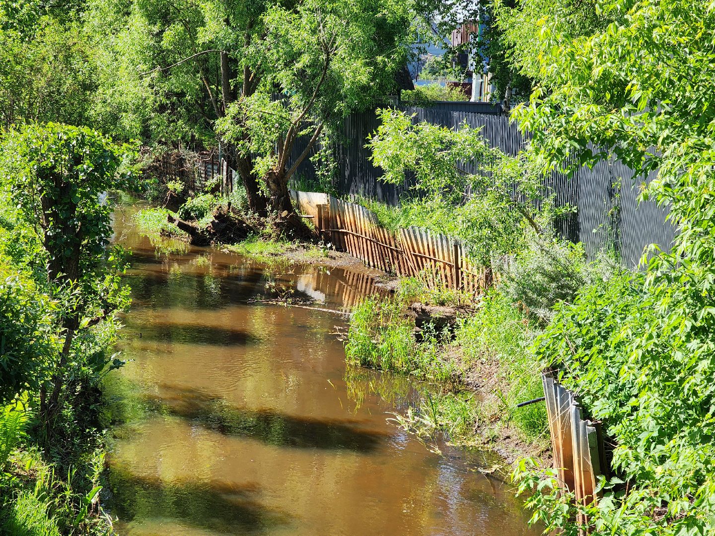 ногинск, снт, богородский городской округ, жители, общество, подтопления, реки,