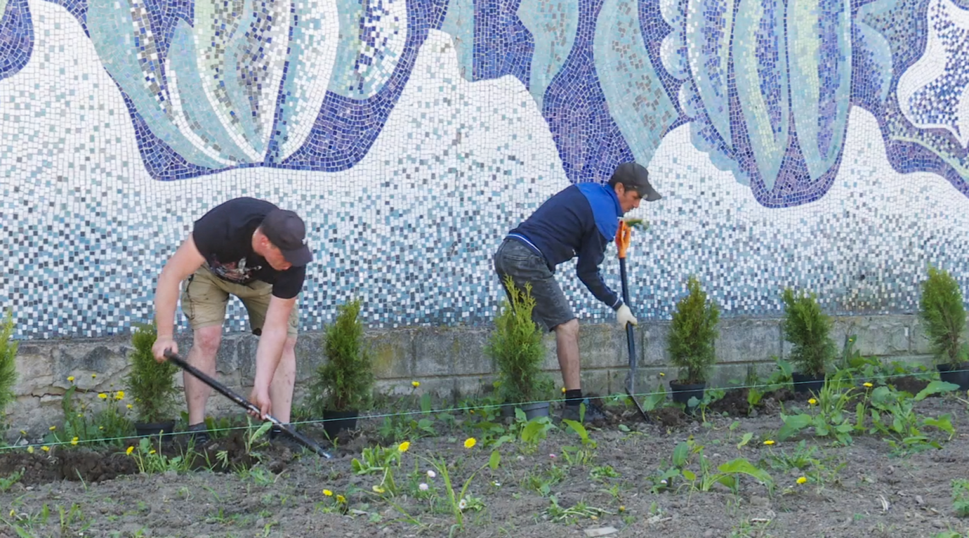 Клин, общество, благоустройство,