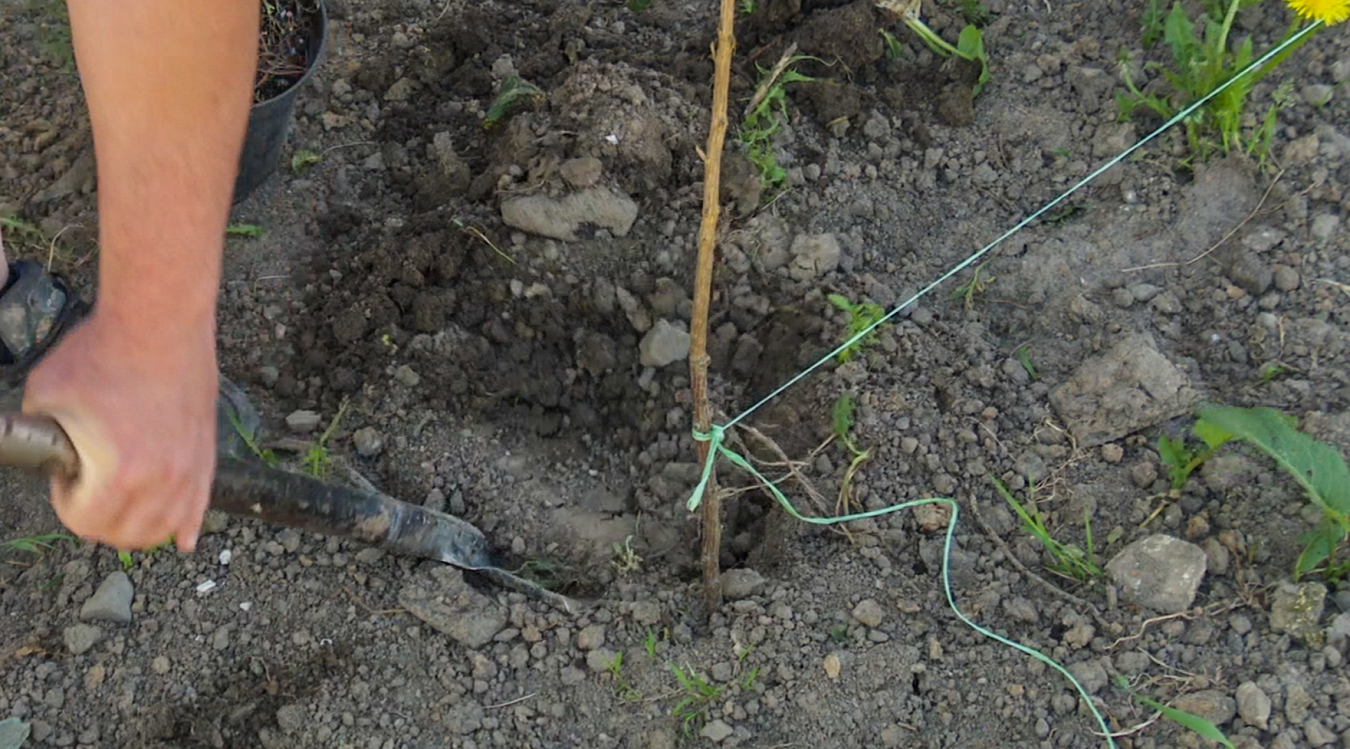 Клин, общество, благоустройство,