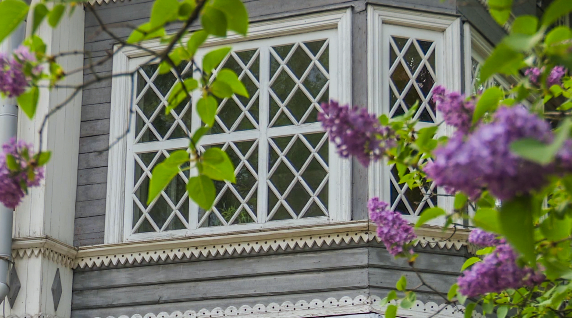 Клин, общество, культура, выставки, летовподмосковье,