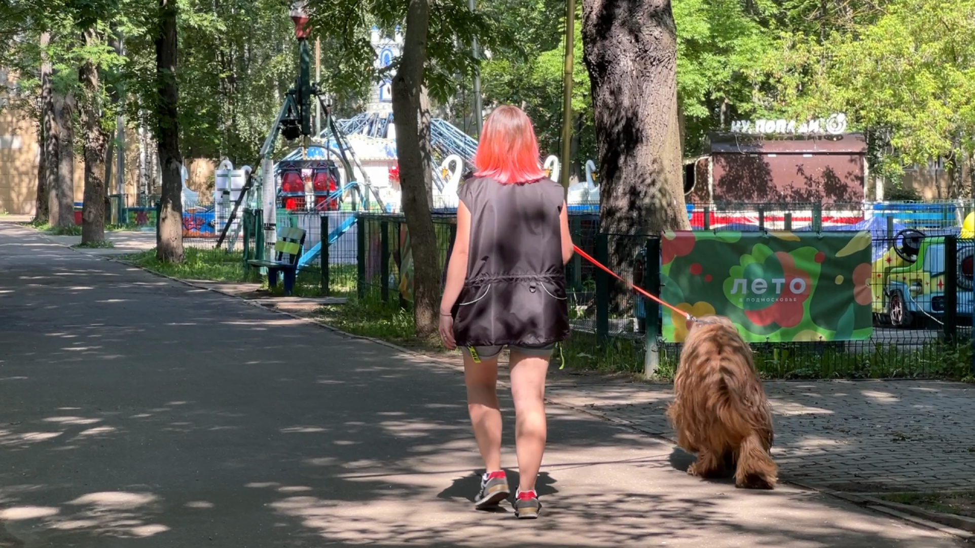 химки, благоустройство, парк, реконструкция парка,