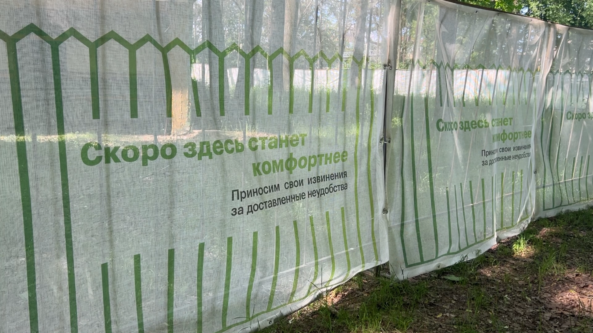 химки, благоустройство, парк, реконструкция парка,