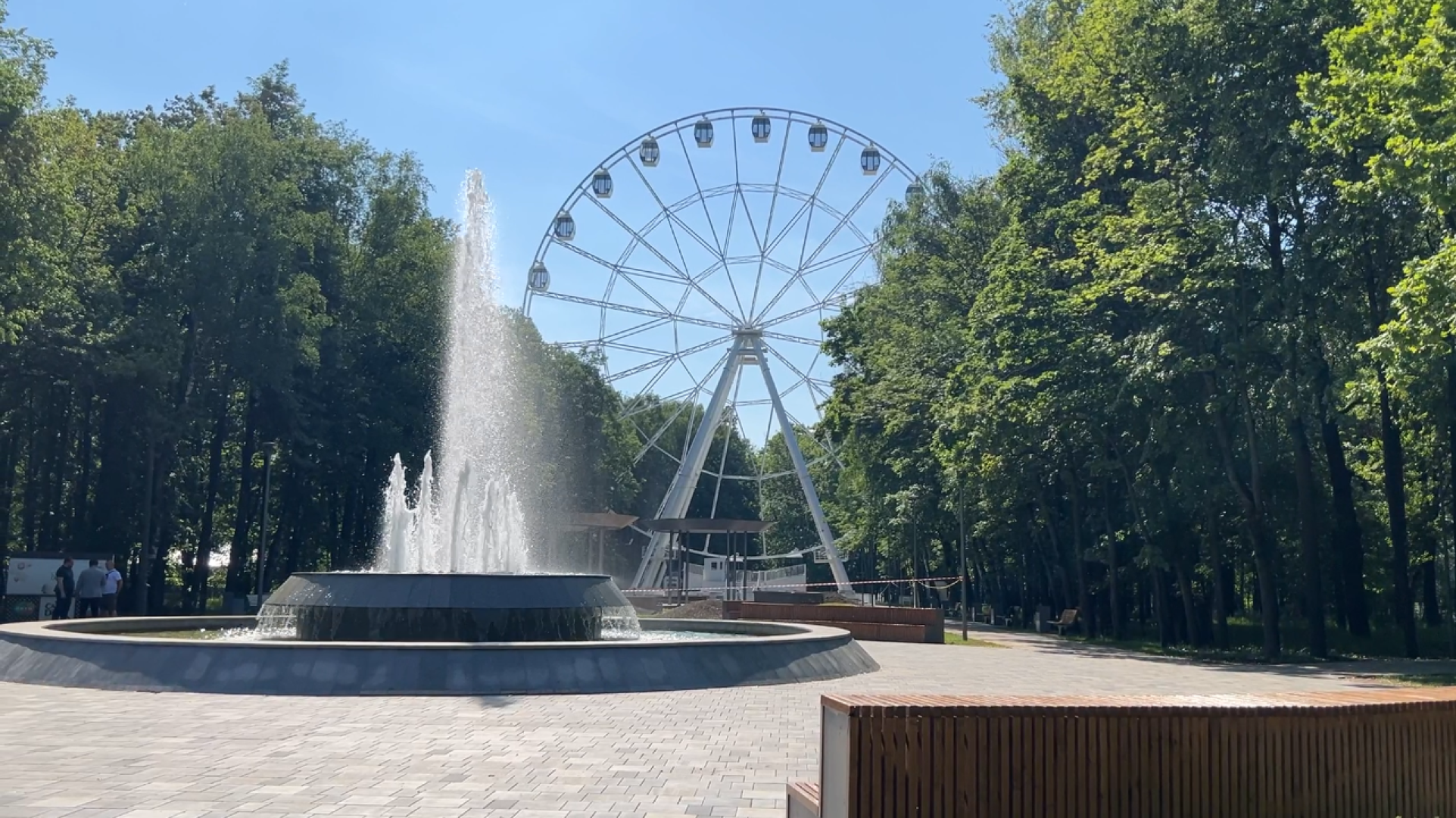 химки, благоустройство, парк, реконструкция парка,