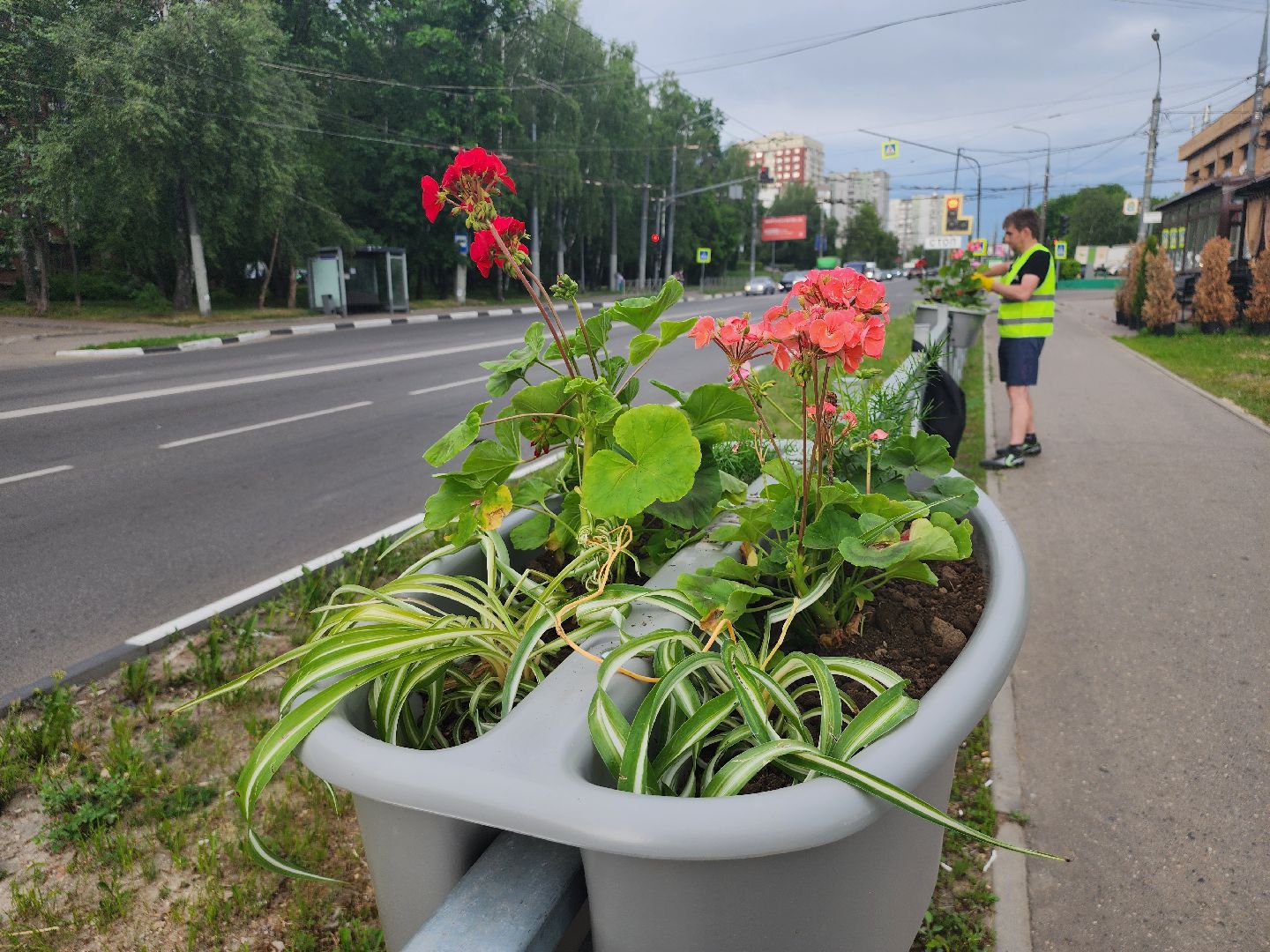 благоустройство, план добрых дел, озеленение, высадка цветов, цветы, озеленение города, ленинский городской округ, видное,