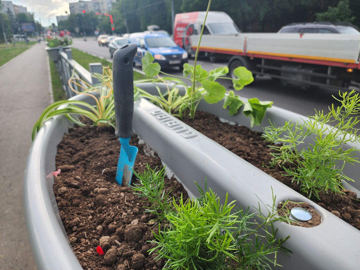 благоустройство, план добрых дел, озеленение, высадка цветов, цветы, озеленение города, ленинский городской округ, видное,