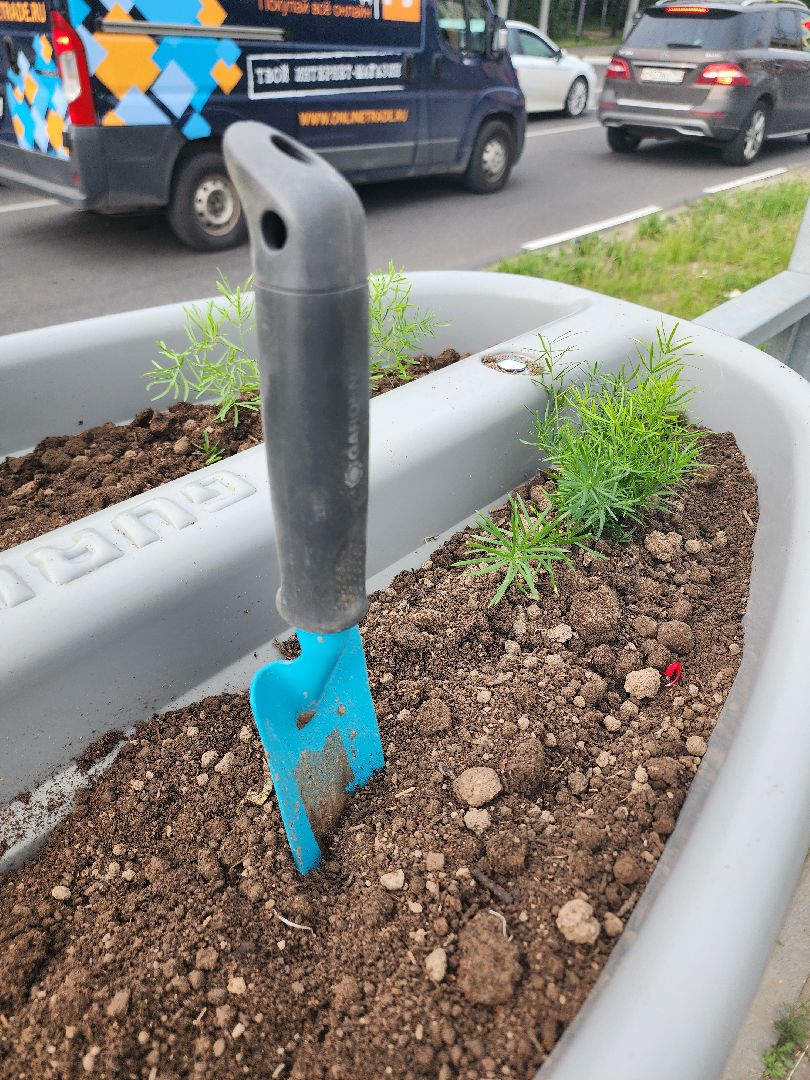 благоустройство, план добрых дел, озеленение, высадка цветов, цветы, озеленение города, ленинский городской округ, видное,