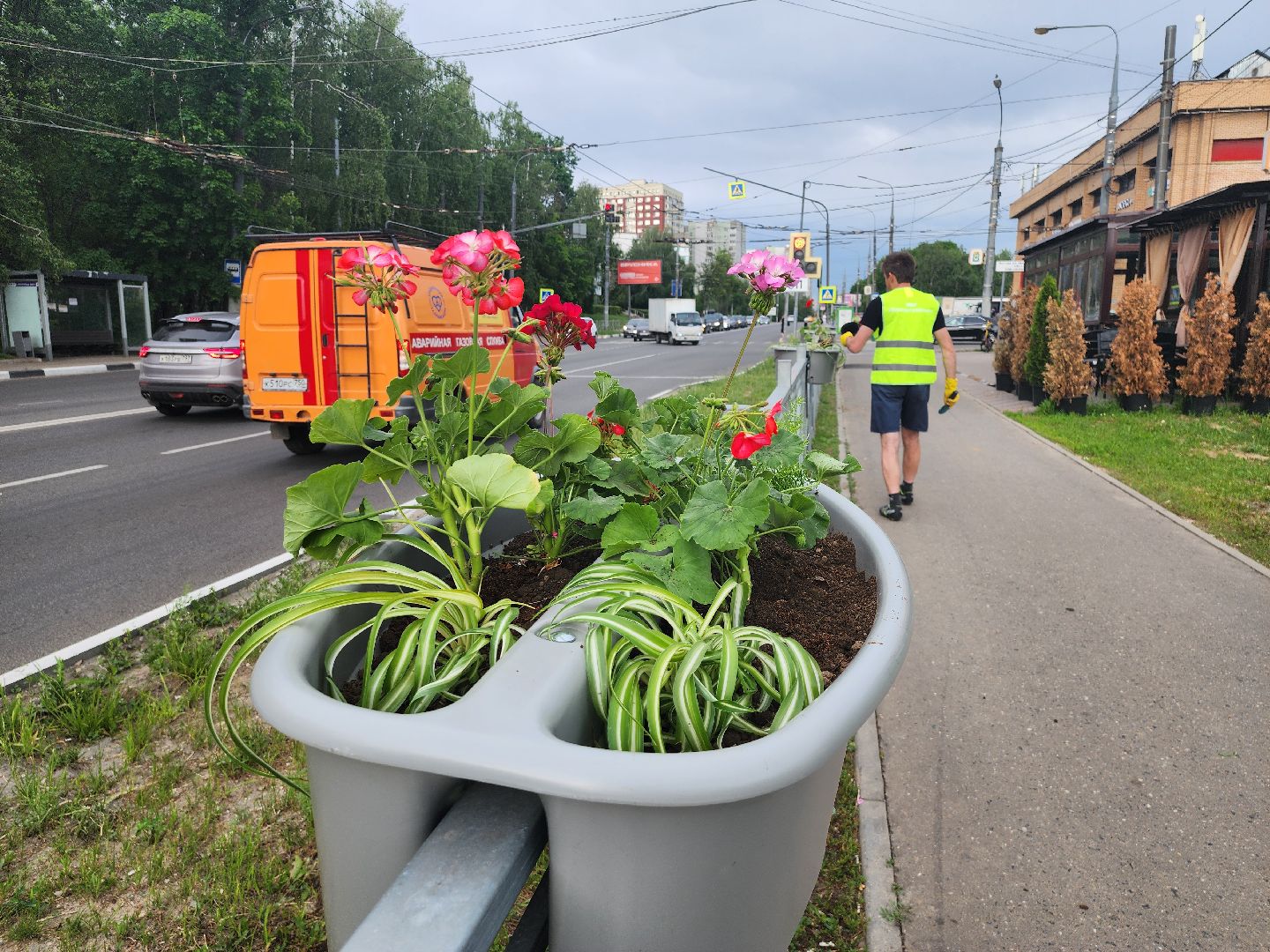 благоустройство, план добрых дел, озеленение, высадка цветов, цветы, озеленение города, ленинский городской округ, видное,