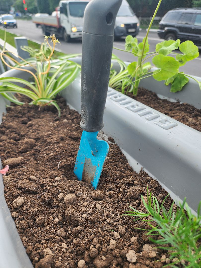 благоустройство, план добрых дел, озеленение, высадка цветов, цветы, озеленение города, ленинский городской округ, видное,