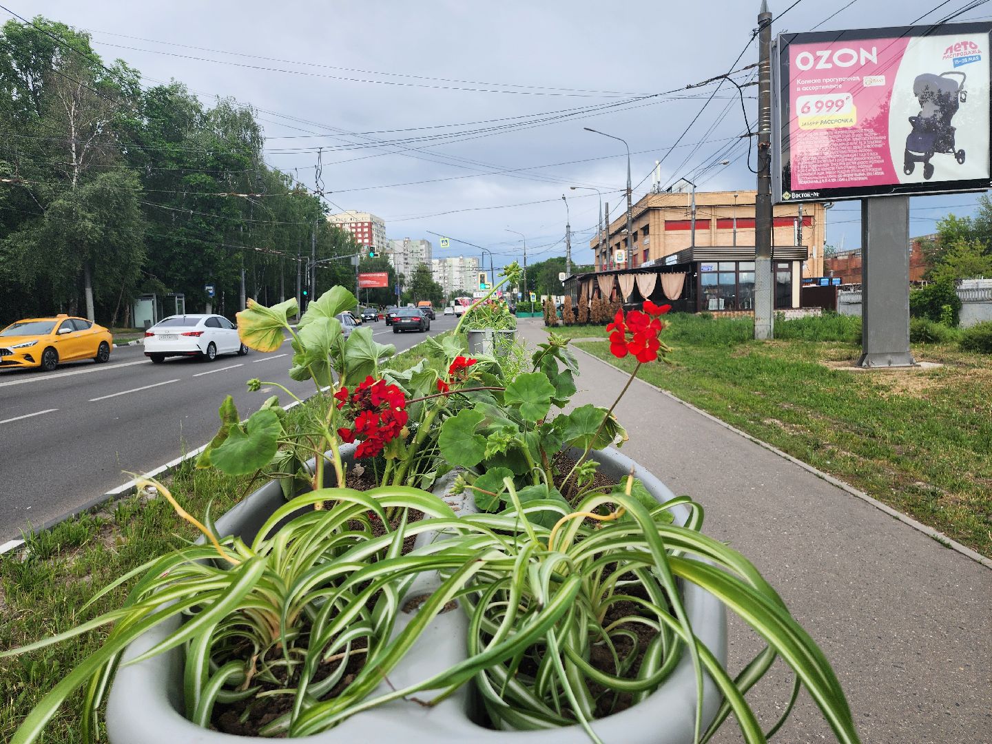 благоустройство, план добрых дел, озеленение, высадка цветов, цветы, озеленение города, ленинский городской округ, видное,