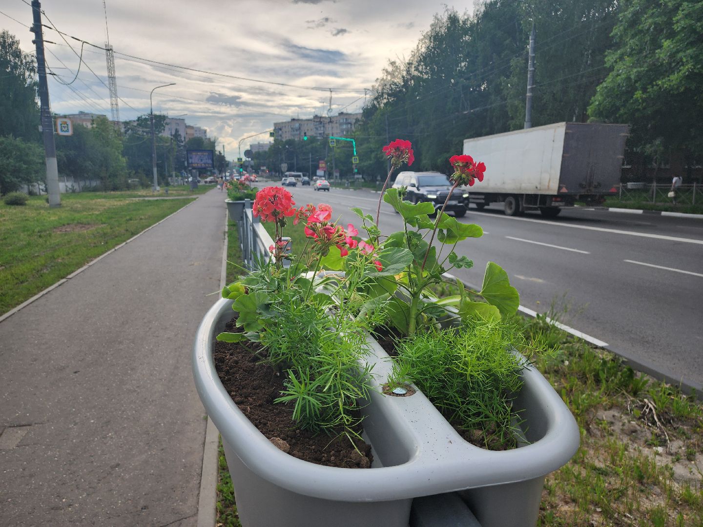 благоустройство, план добрых дел, озеленение, высадка цветов, цветы, озеленение города, ленинский городской округ, видное,