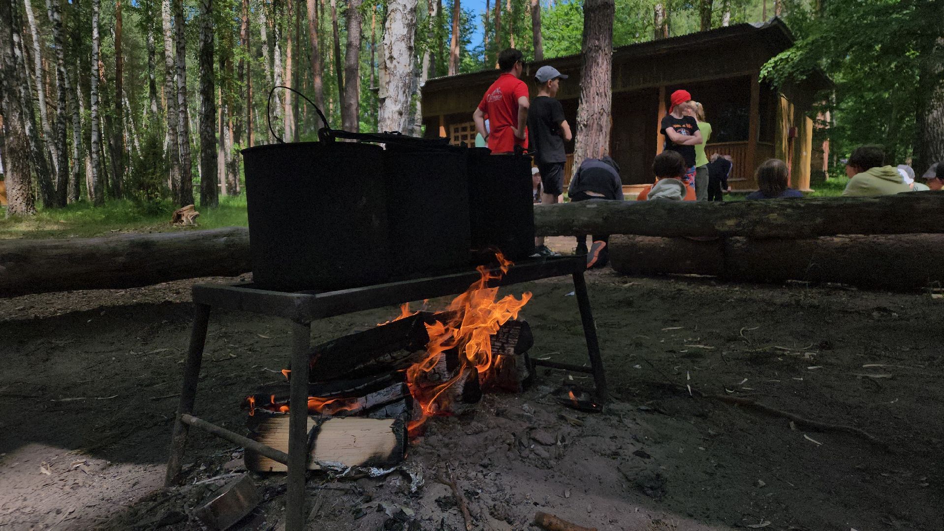 ступино, занятость подростков, летняя оздоровительная компания,