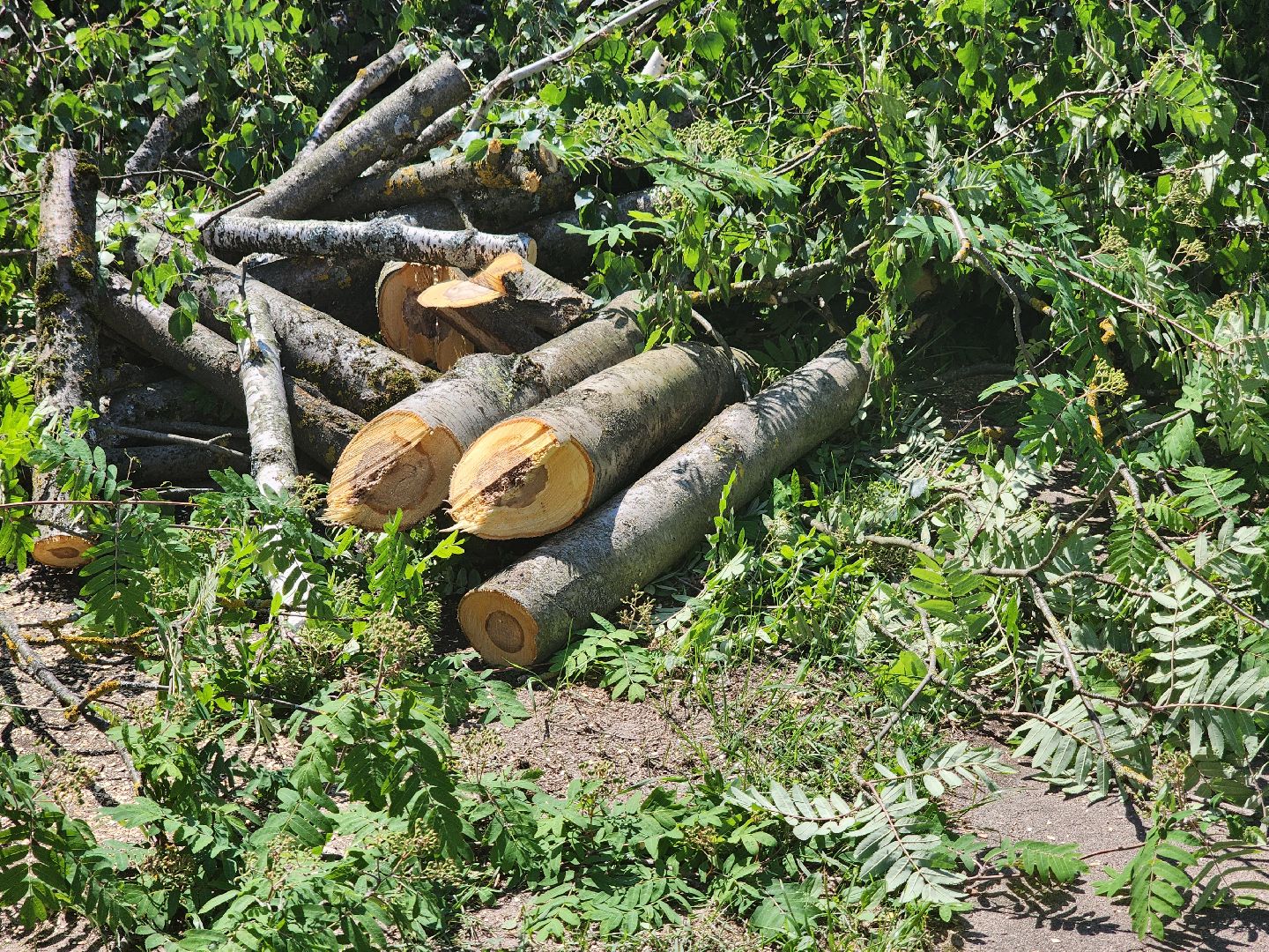Дубна, ЖКХ, комплексное благоустройство, Благоустройство двора,