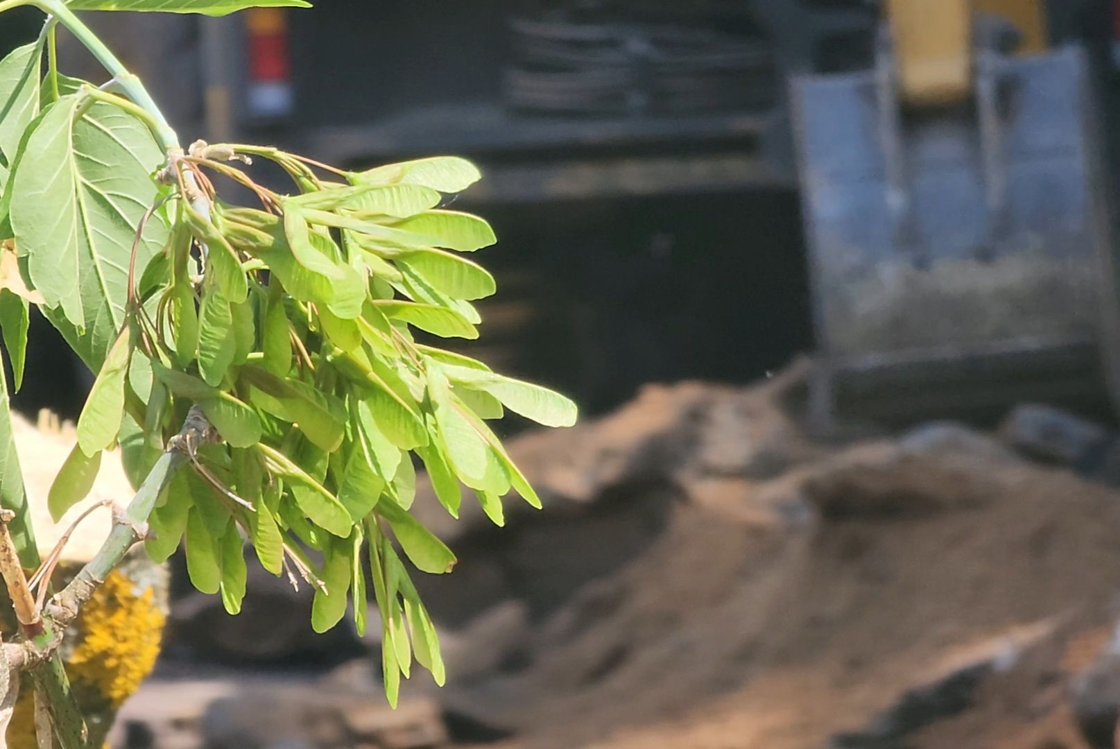 Дубна, ЖКХ, комплексное благоустройство, Благоустройство двора,