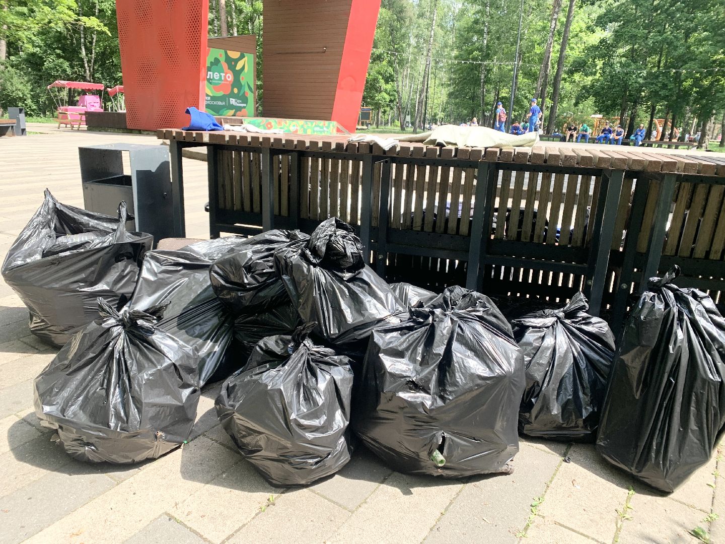 Балашиха, Подмосковье, Экология, экологический лагерь, уборка мусора, первая смена,