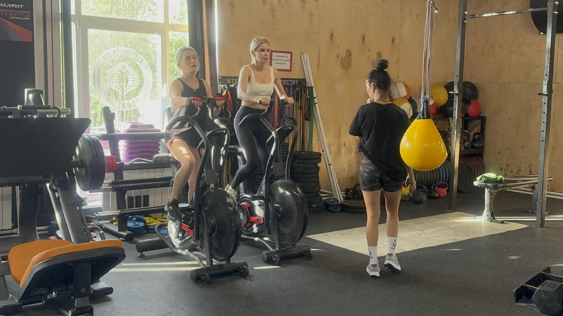 Солнечногорск, Спорт, Фигура, правильное питание, спортсмены,