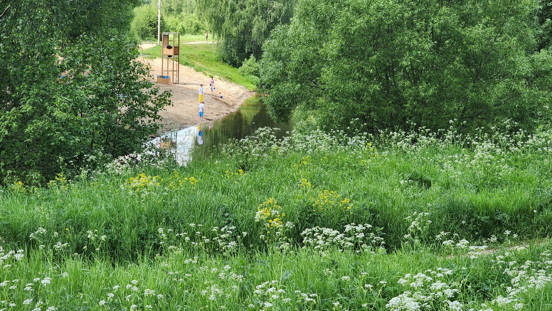 лето в подмосковье, пляж, река истра,