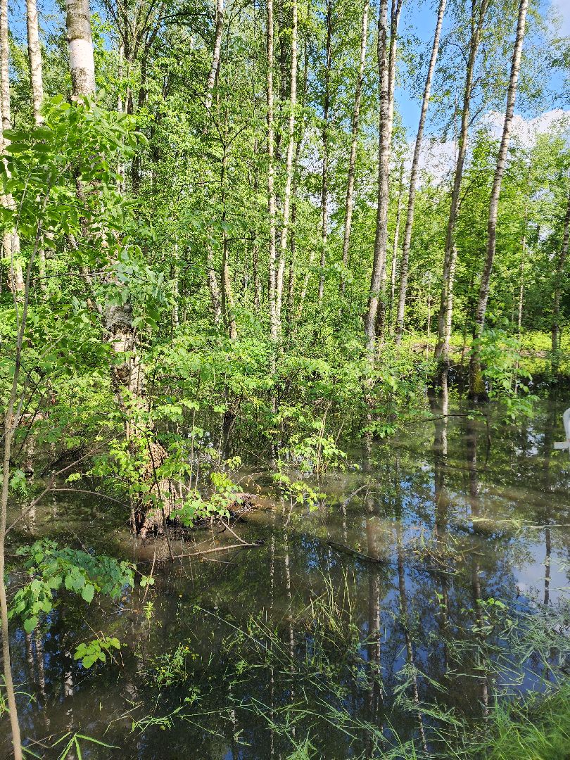 электросталь, благоустройсво, благоустройство 2024, парк, парк Авангард, жители города, администрация,