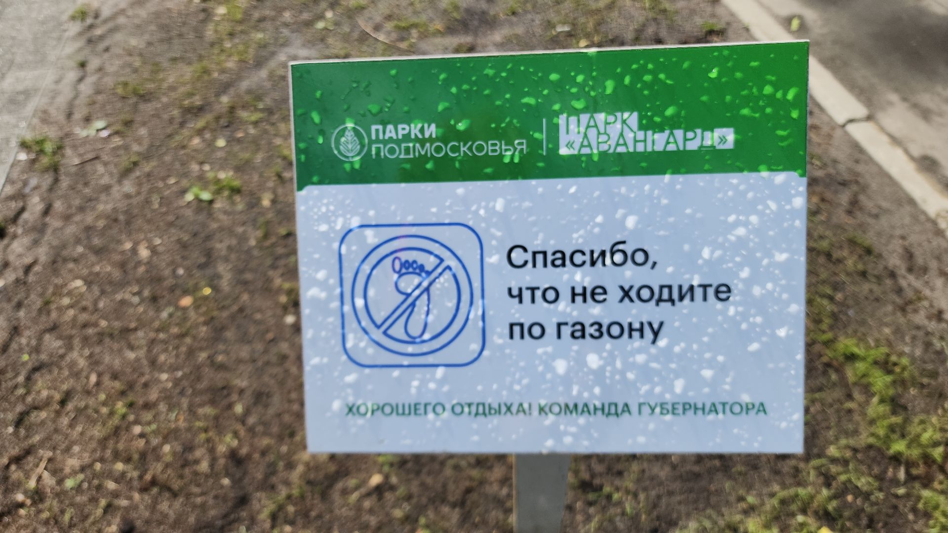 электросталь, благоустройсво, благоустройство 2024, парк, парк Авангард, жители города, администрация,