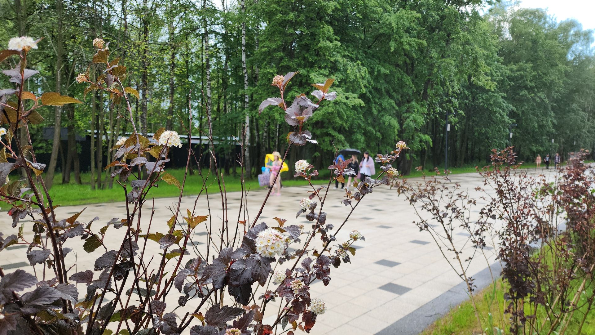 электросталь, благоустройсво, благоустройство 2024, парк, парк Авангард, жители города, администрация,