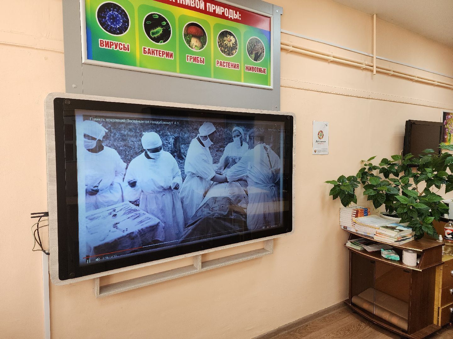 красноармейск, г.о. пушкинский, поисковики, парта героя,