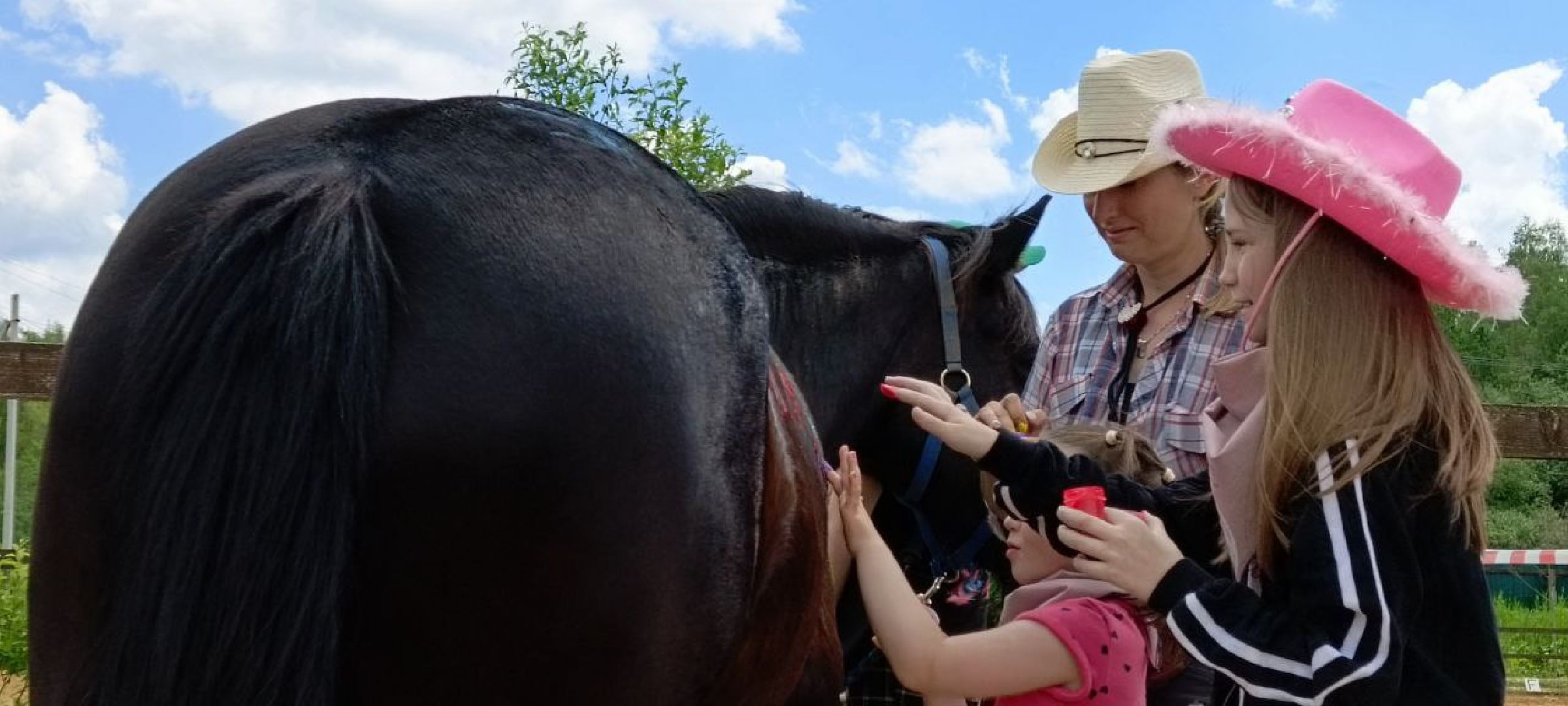 Дмитров, Сообщество Дело жизни, Конный клуб Харламово,