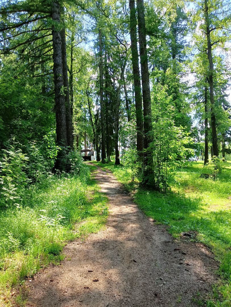 благоустройство, волоколамск, осташево,