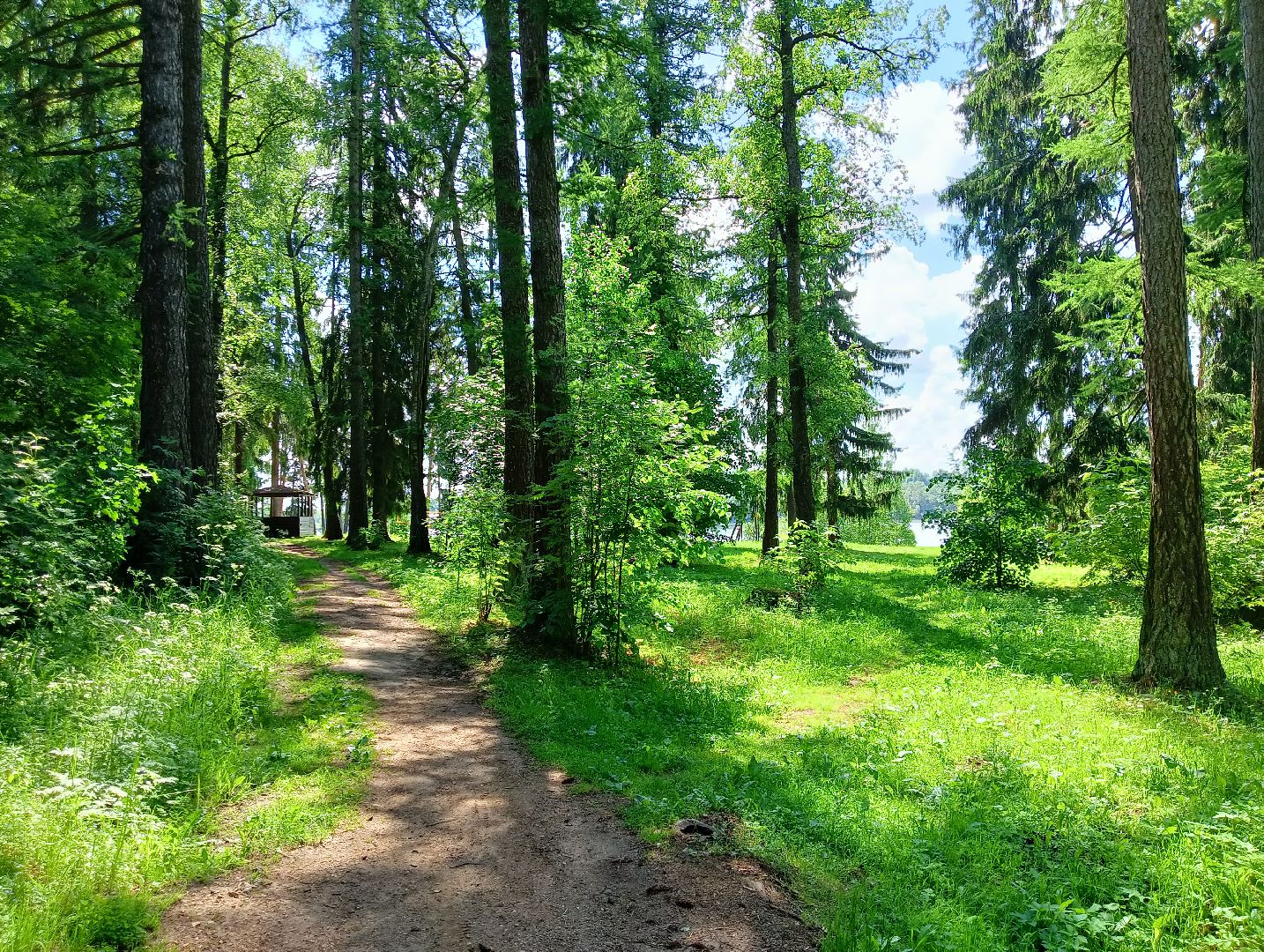 благоустройство, волоколамск, осташево,