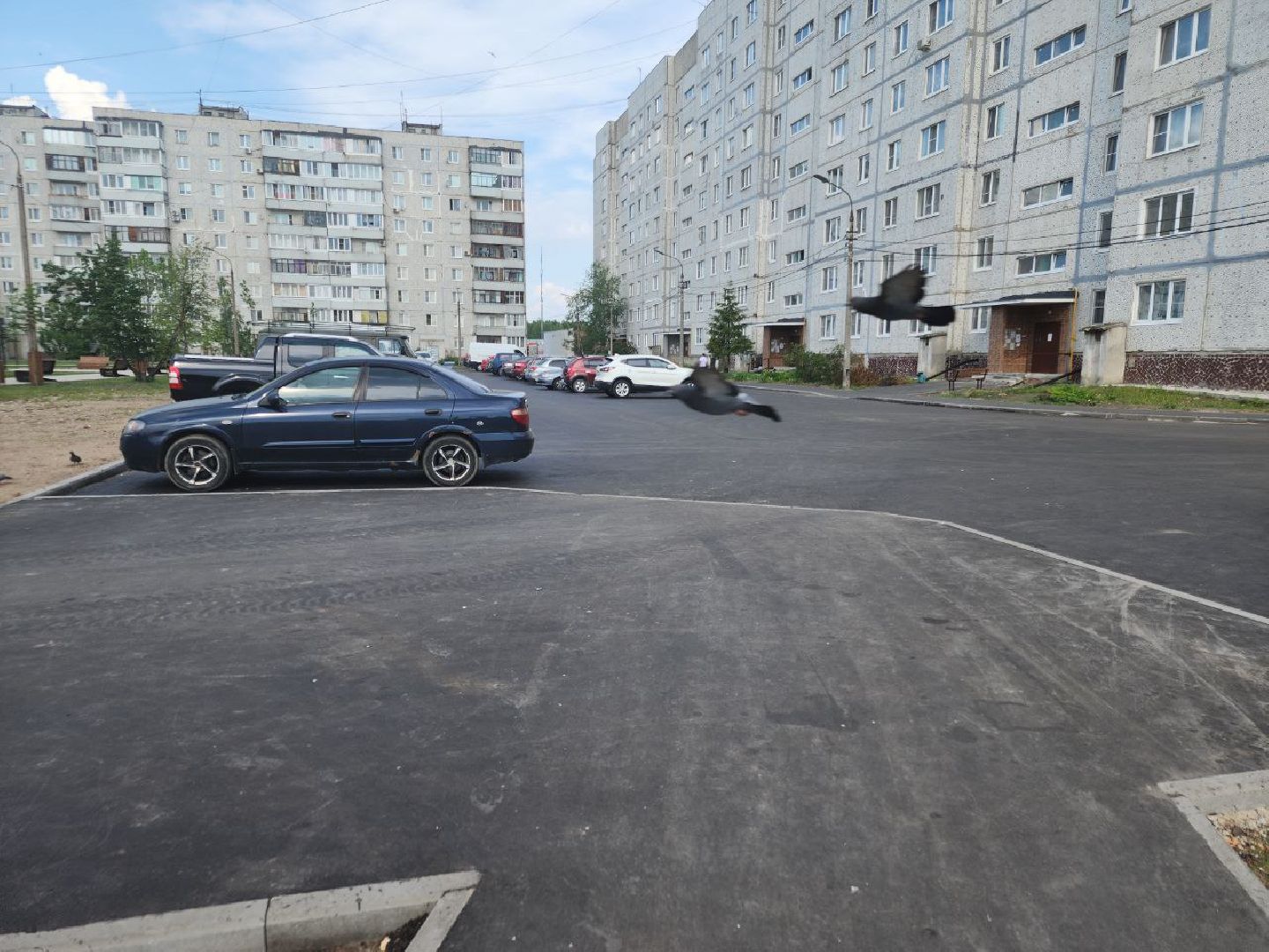 благоустройство 2024, дворыподмосковья, орехово-зуевский округ,