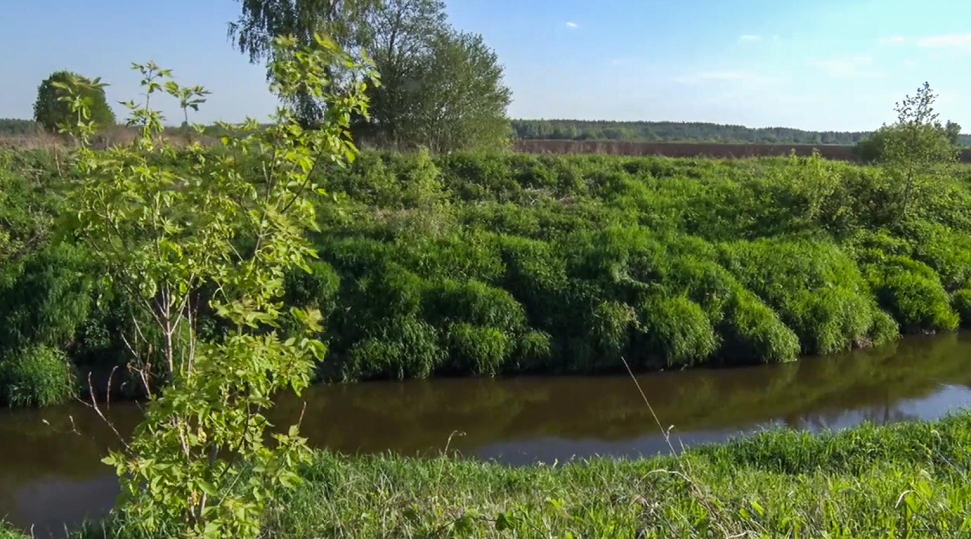 Клин, общество, экономика, сельское хозяйство, картофель,