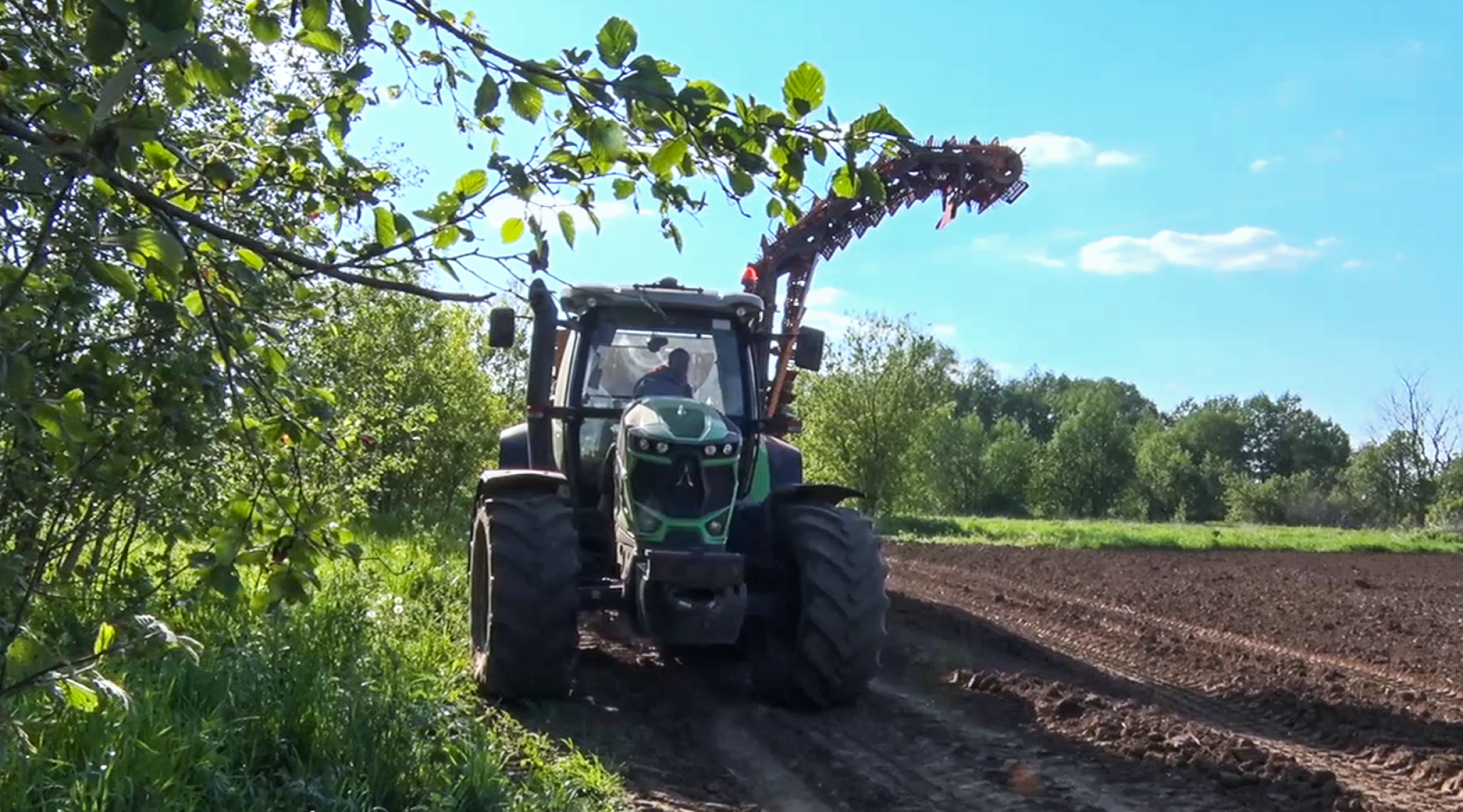 Клин, общество, экономика, сельское хозяйство, картофель,