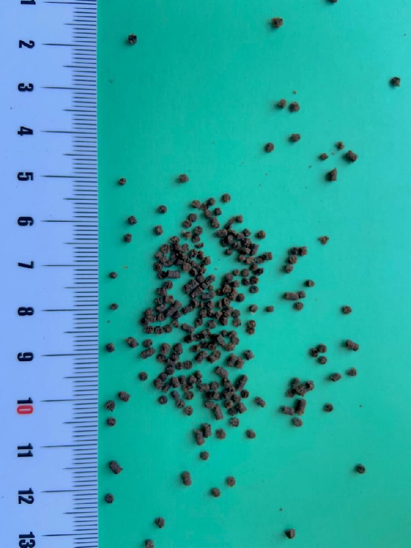 бизнес в подмосковье, предприниматели,