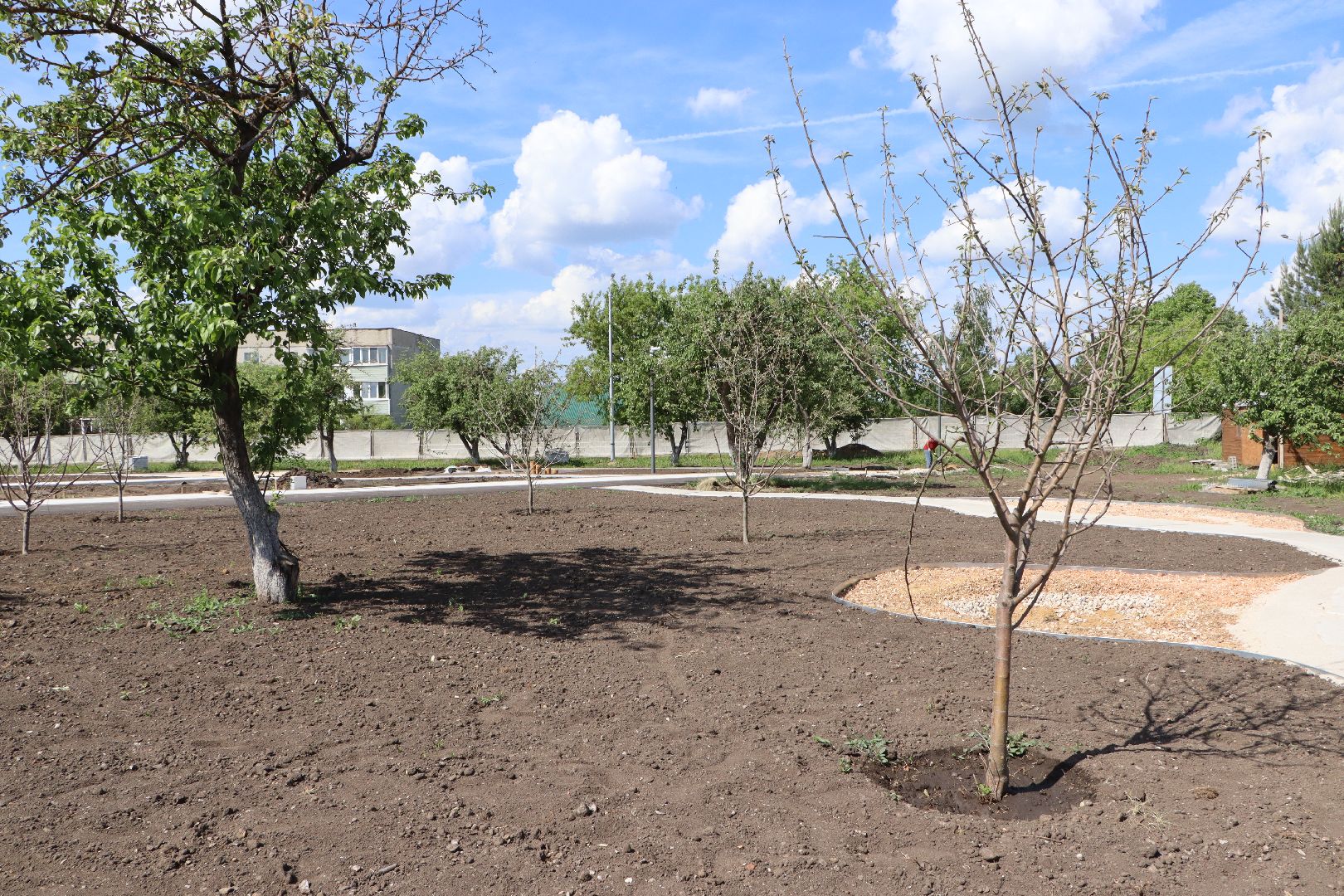 национальный проект жилье и городская среда, Серебряные Пруды, поселок Успенский, Шереметьевы, винокуренный завод Шереметьевых, благоустройство, Яблоневый сад,