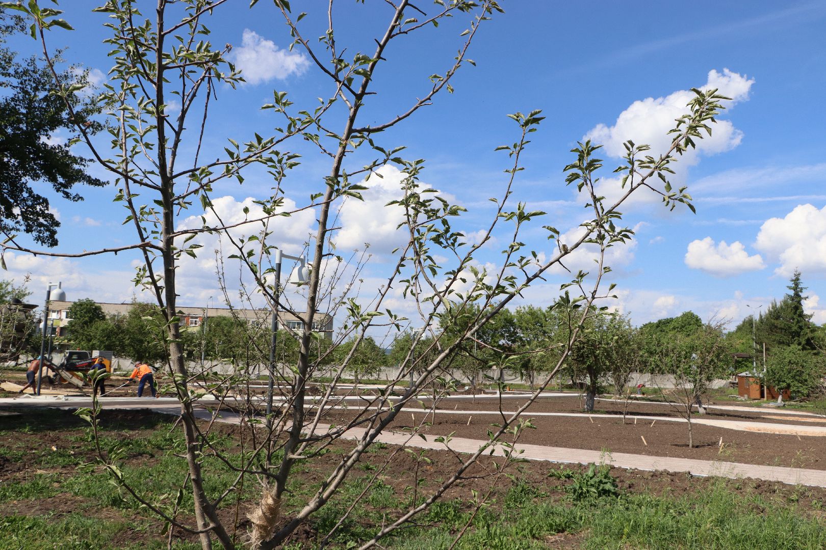 национальный проект жилье и городская среда, Серебряные Пруды, поселок Успенский, Шереметьевы, винокуренный завод Шереметьевых, благоустройство, Яблоневый сад,
