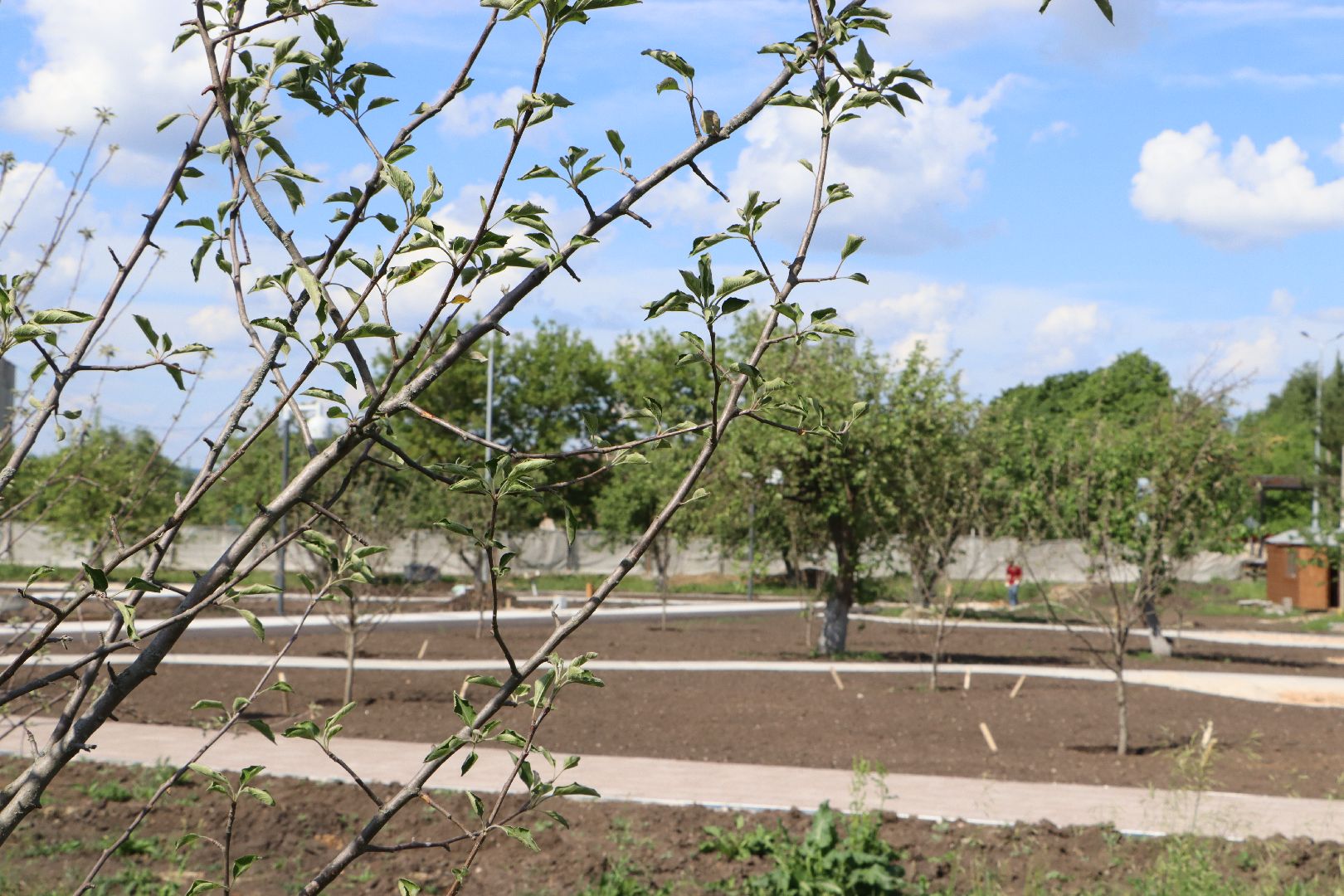 национальный проект жилье и городская среда, Серебряные Пруды, поселок Успенский, Шереметьевы, винокуренный завод Шереметьевых, благоустройство, Яблоневый сад,