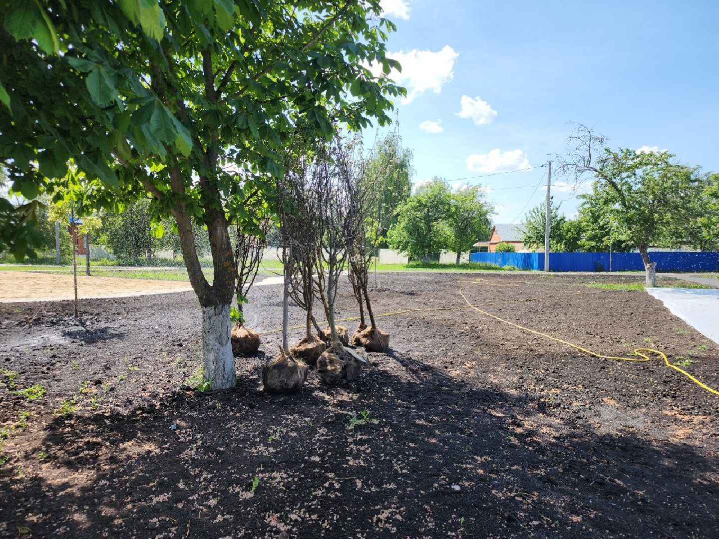 национальный проект жилье и городская среда, Серебряные Пруды, поселок Успенский, Шереметьевы, винокуренный завод Шереметьевых, благоустройство, Яблоневый сад,