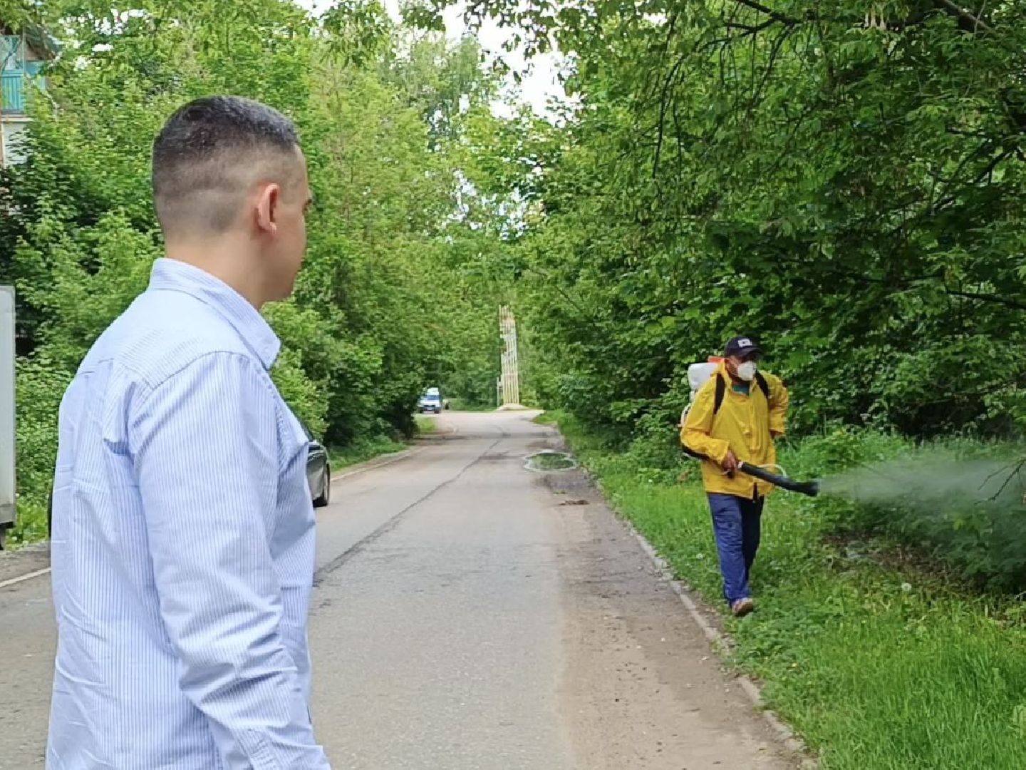 Солнечногорск, борщевик сосновского, борьба с борщевиком, поварово, Жители,