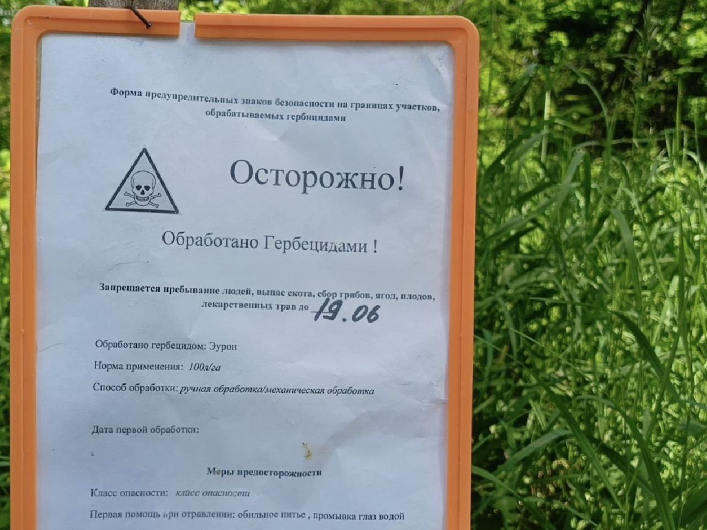 Солнечногорск, борщевик сосновского, борьба с борщевиком, поварово, Жители,