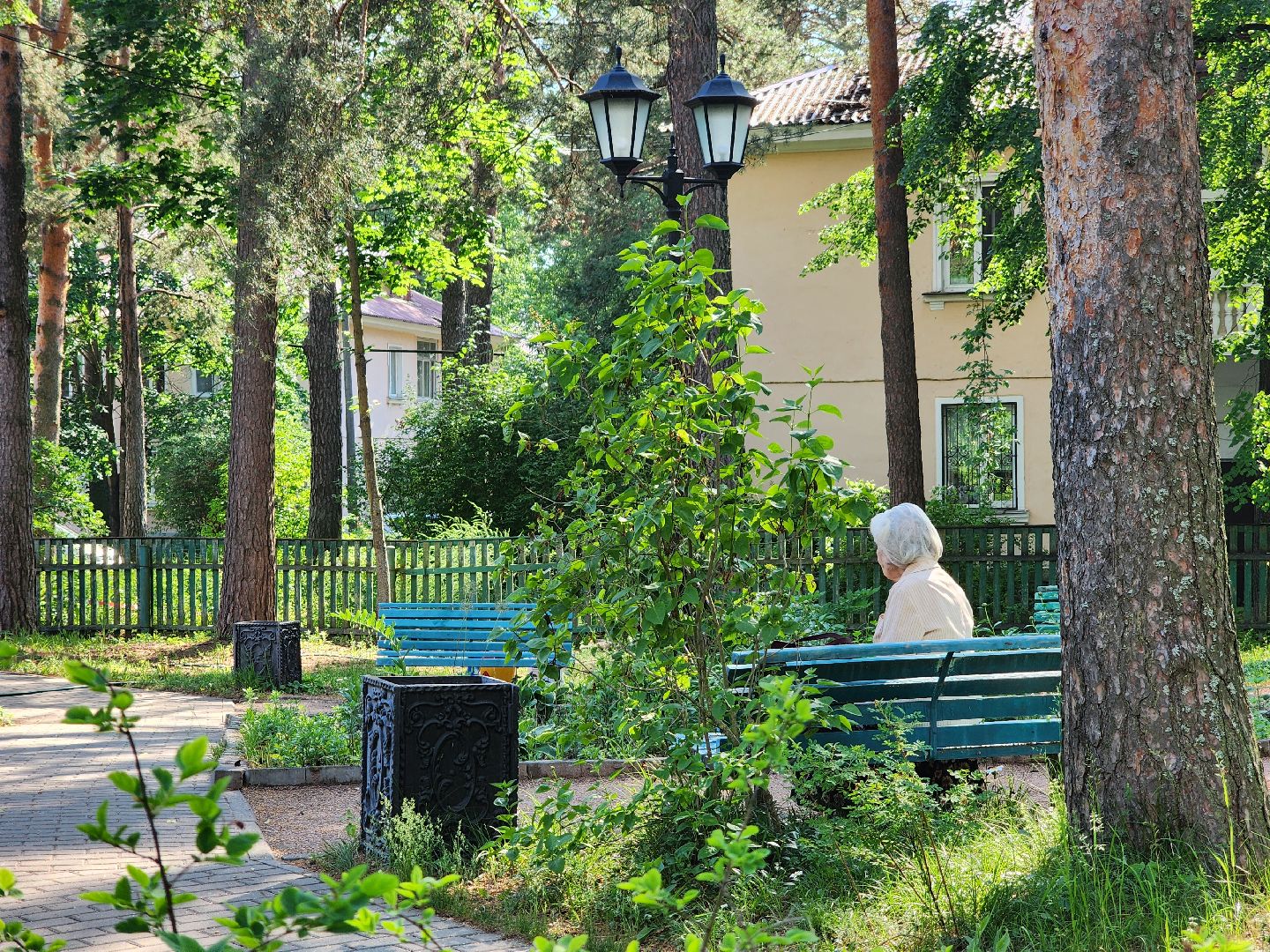 Дубна, Ветераны, Помощь, Волонтеры Подмосковья,