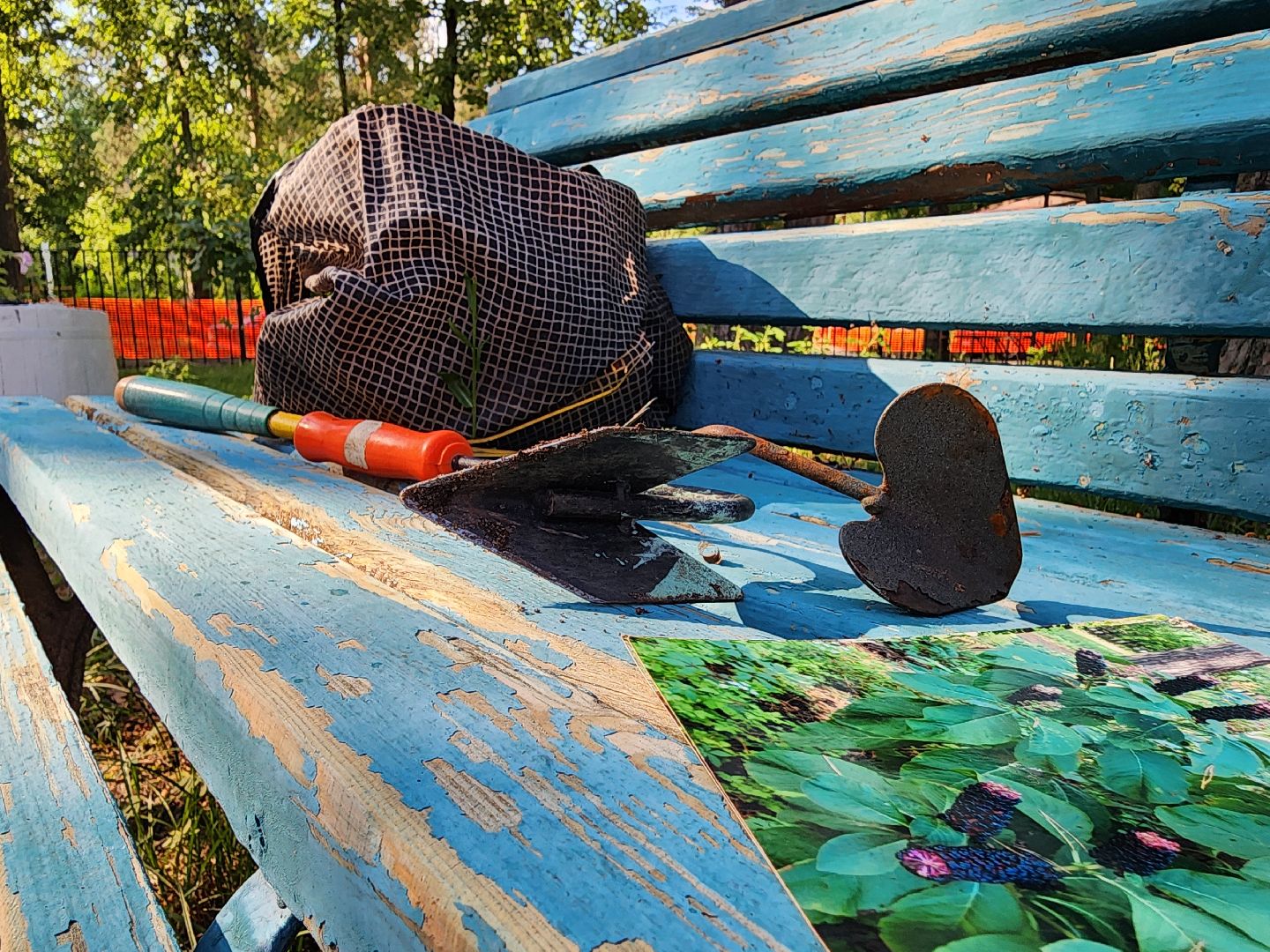 Дубна, Ветераны, Помощь, Волонтеры Подмосковья,