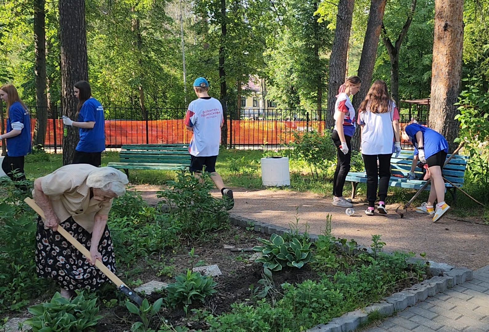 Дубна, Ветераны, Помощь, Волонтеры Подмосковья,