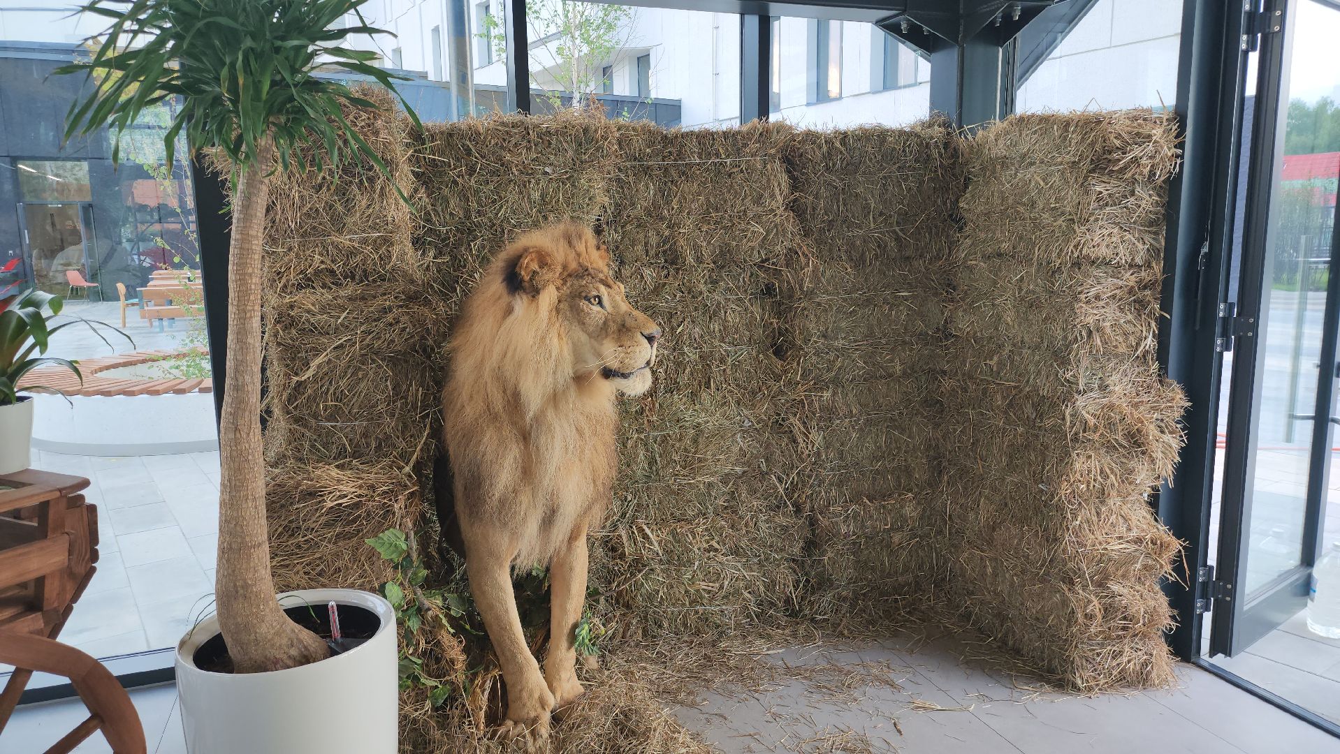 Технопарк, физтех-лицей, долгопрудный, ботаническое искусство, сайенс арт, керамика, живопись, ботаника,