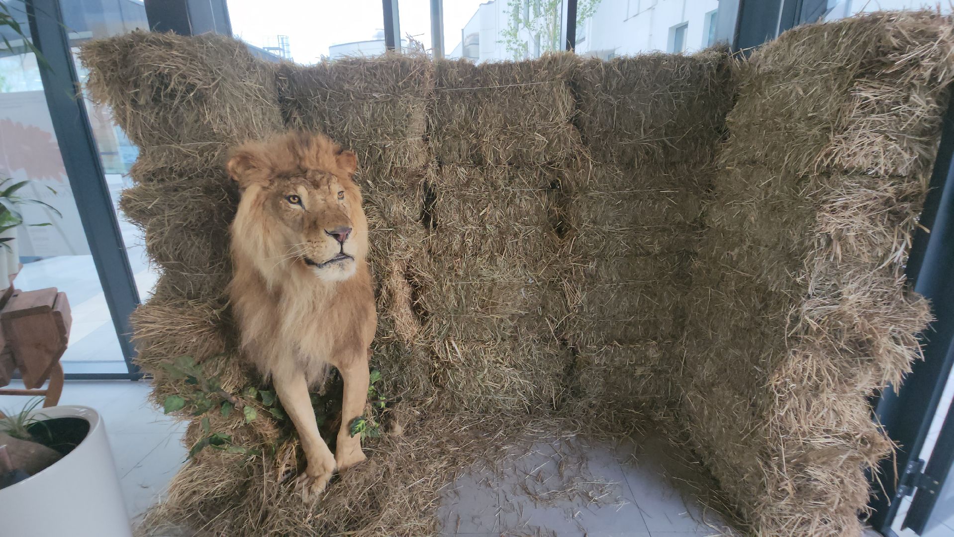 Технопарк, физтех-лицей, долгопрудный, ботаническое искусство, сайенс арт, керамика, живопись, ботаника,