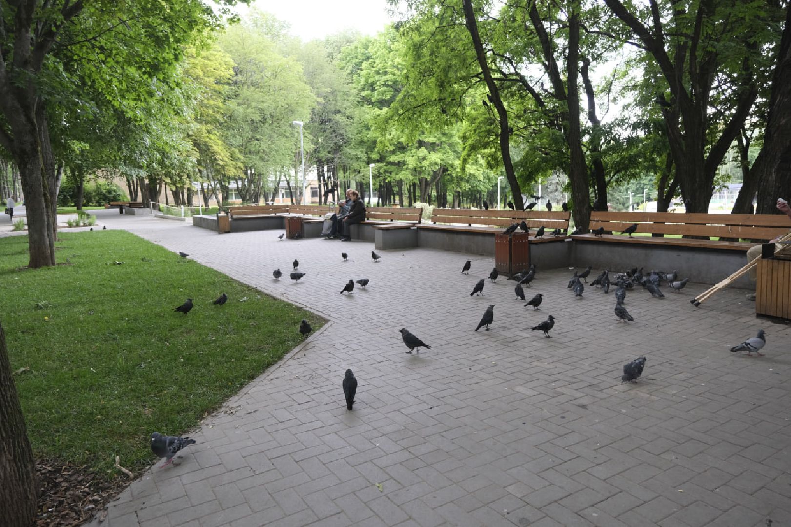 пущино, серпухов, благоустройство,