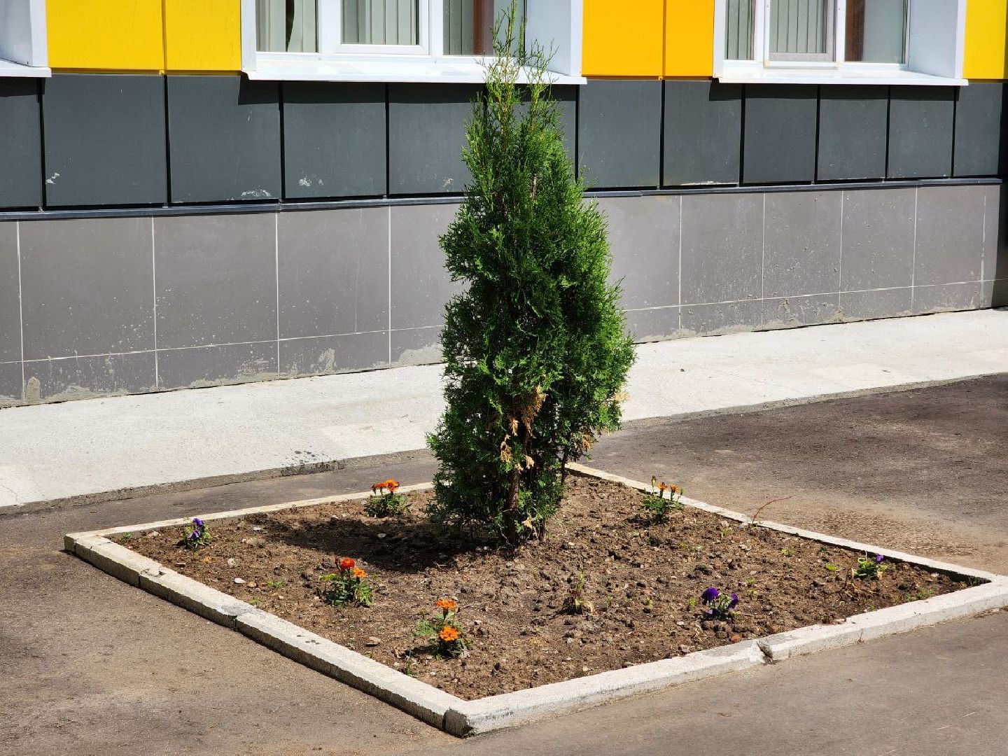 чехов, летний лагерь, школа, подготовка, управление образования, дети,