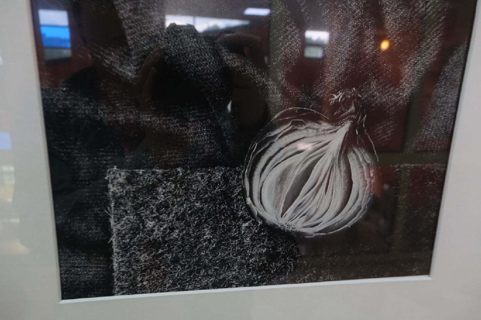 пущино, серпухов, культура, фотогорафия,