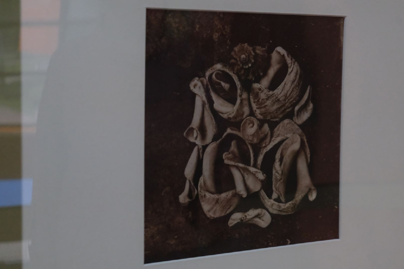 пущино, серпухов, культура, фотогорафия,