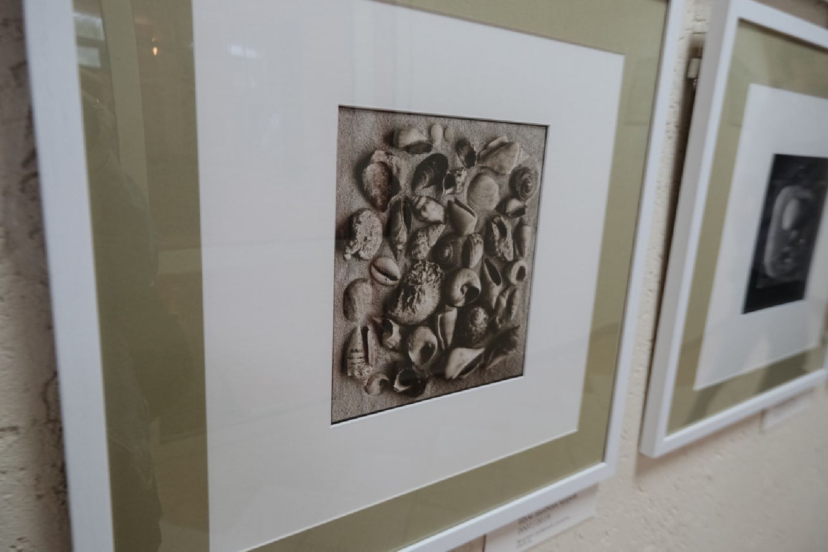 пущино, серпухов, культура, фотогорафия,