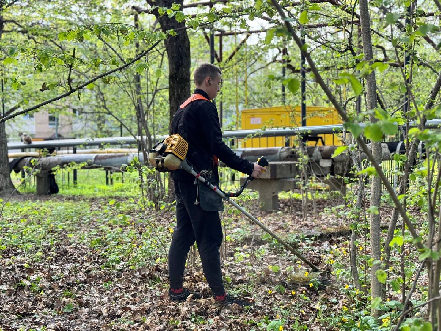 городок, газон, благоустройство,