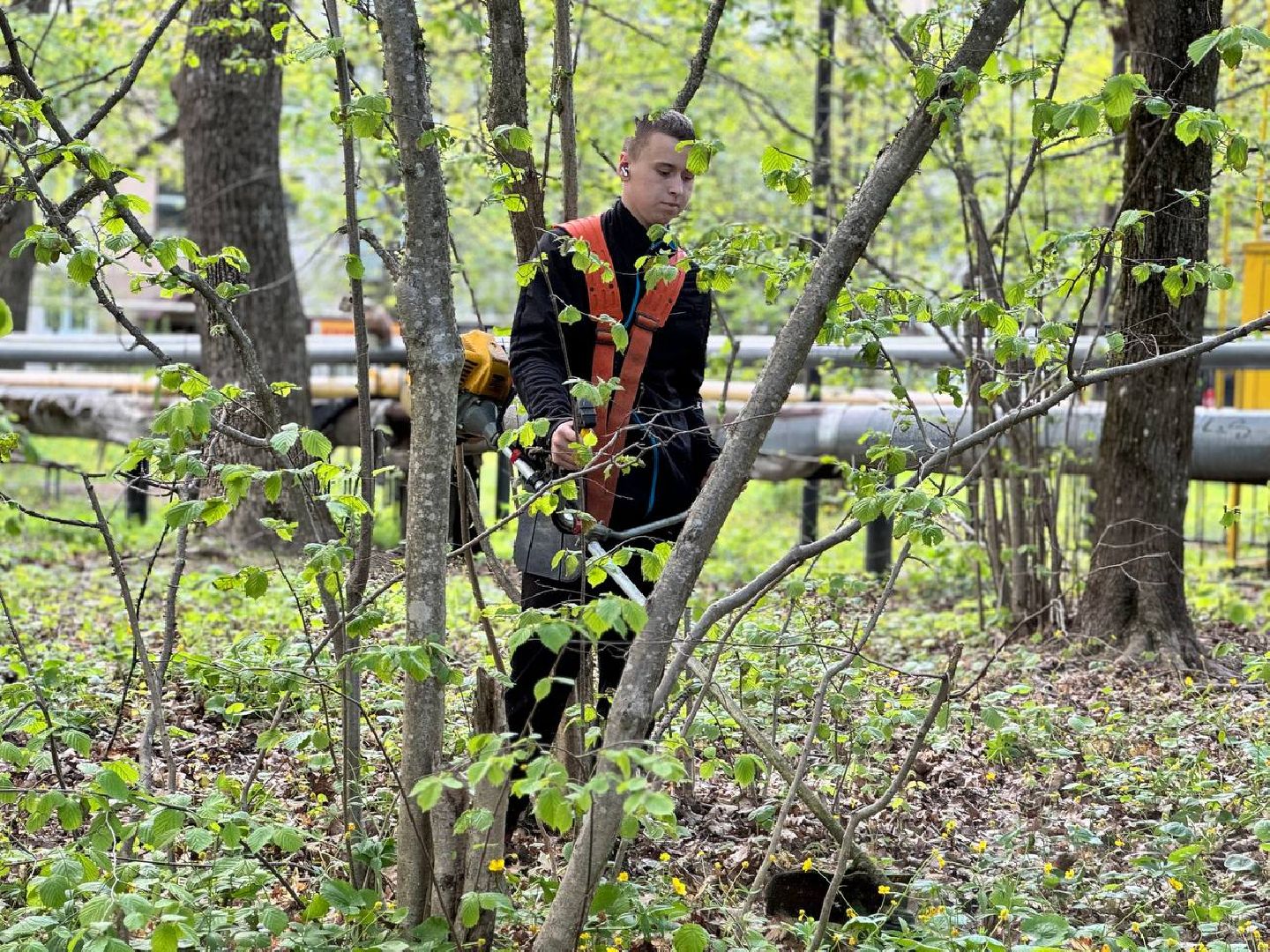 городок, газон, благоустройство,