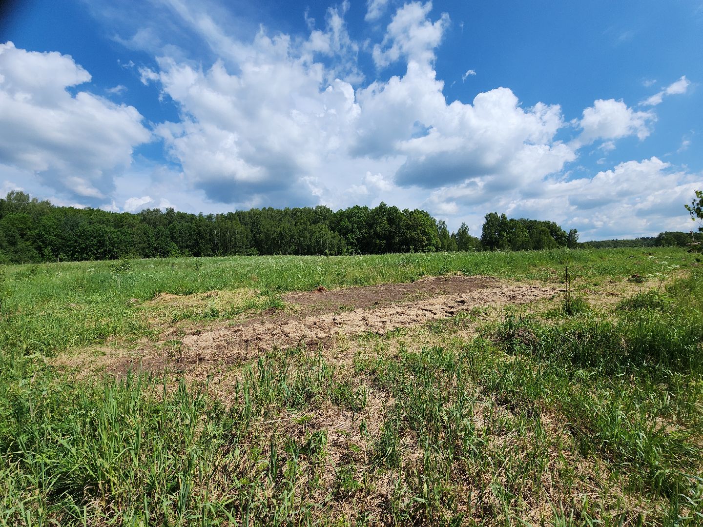 серпухов, подмосковье, зиброво, археологи, археологические находки,